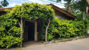Kingfisher Guesthouse and Hostel